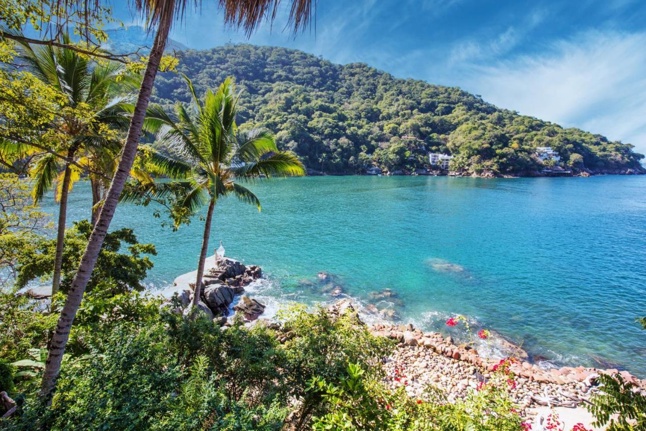 Villa Lala Boutique Hotel Adults Only Puerto Vallarta Bagian luar foto